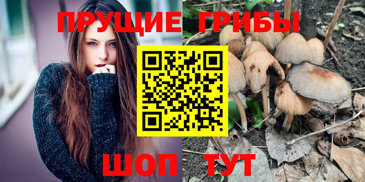 Псилоцибиновые грибы Cubensis Донской